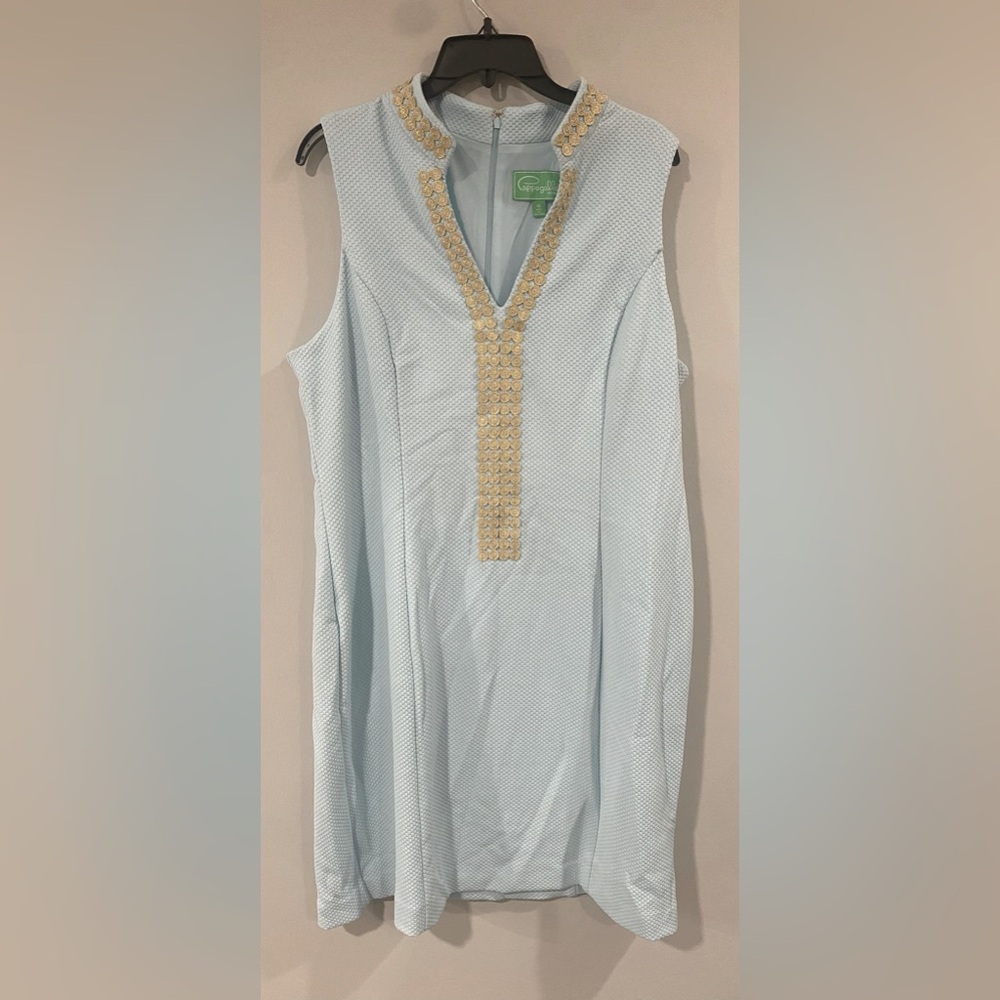 Like new, Light Blue Dress with beautiful gold details!